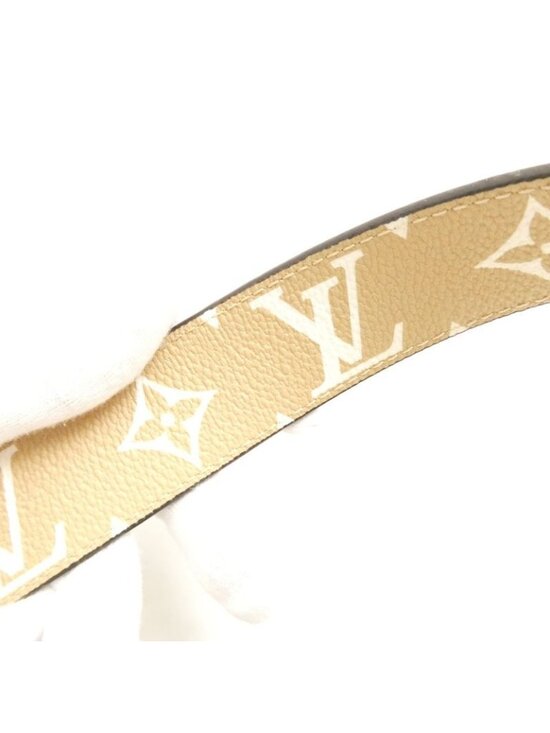 Louis Vuitton Ceinture LV Iconic 30 mm Reversible Belt Reverse Canvas Monogram main image 4